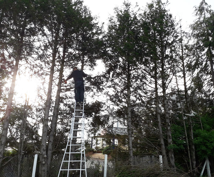 Entretien de jardin à Sannerville
